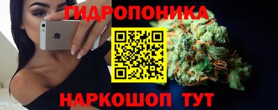 стаф Кулебаки