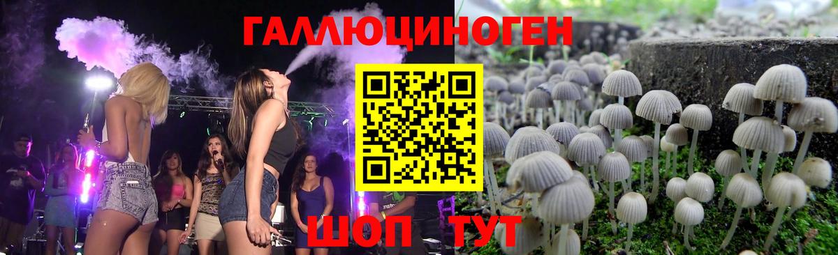 где найти наркотики  Галлюциногенные грибы Cubensis  Вход с VPN  Ковров 